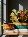 AUTUMN LEAVES SET